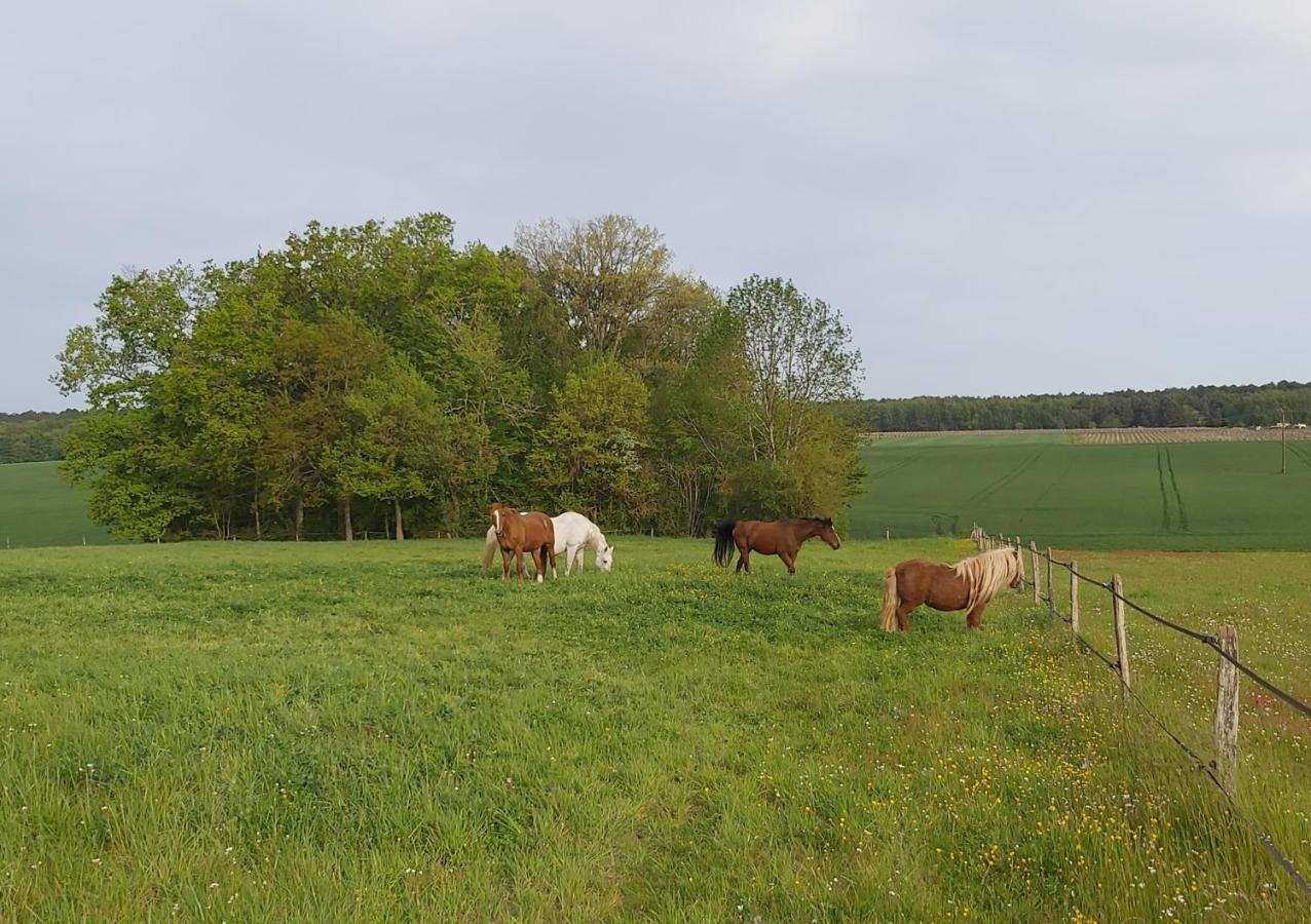 Les Pres Du Petit Morlu - Proche Beauval Villa Saint-Romain-sur-Cher Exterior photo